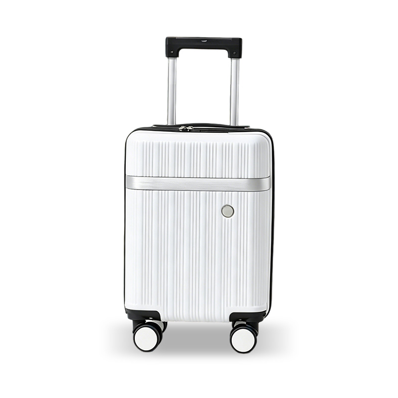 PVC Luggage